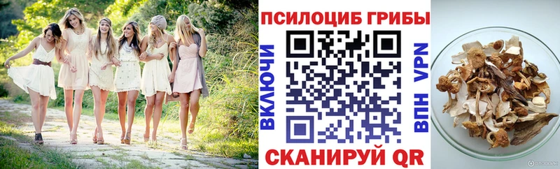 Галлюциногенные грибы Psilocybine cubensis  купить  цена  Тбилисская 